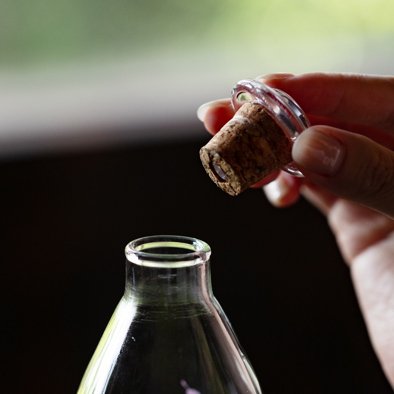 High Borosilicate Glass Bottle – Cold Brew Bottle recenzja i cena