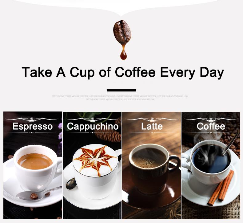 230/110V 1300W 4 Languages Esp – Coffee & Tea Difabis recenzja i cena
