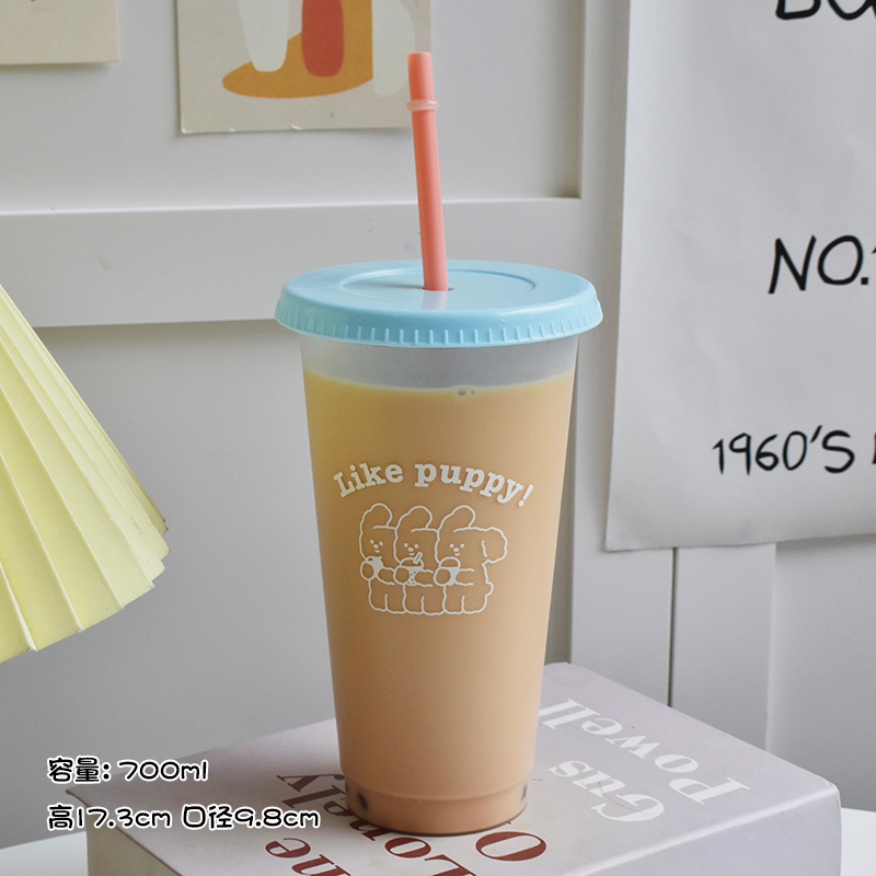 Plastic Water Bottle Cute Coff – Coffee Tea Equipment recenzja i cena